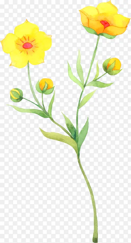 手绘黄色卡通花朵植物