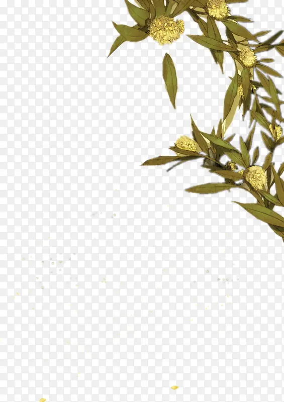 绿色叶子黄色花朵设计