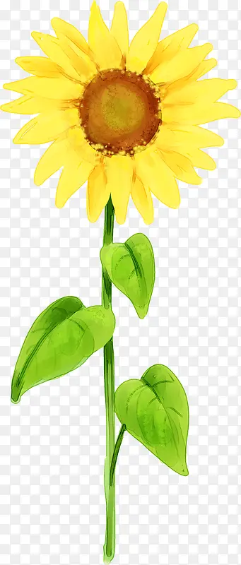 黄色卡通太阳花花朵