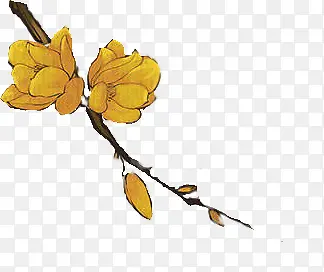 手绘黄色花朵·花枝