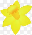 春天黄色儿童花朵