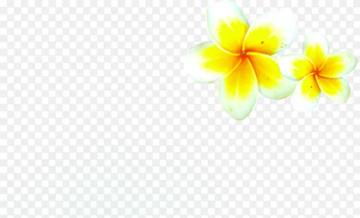 夏日海报黄色花朵