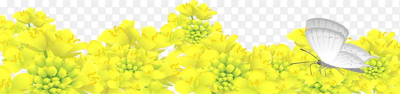 手绘黄色花朵蝴蝶