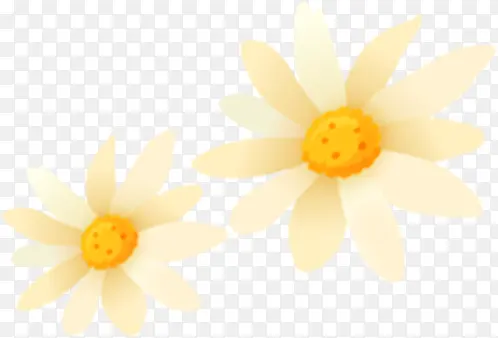 黄色春天纹理花朵