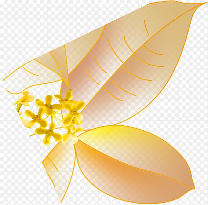 中秋节手绘黄色树叶花朵