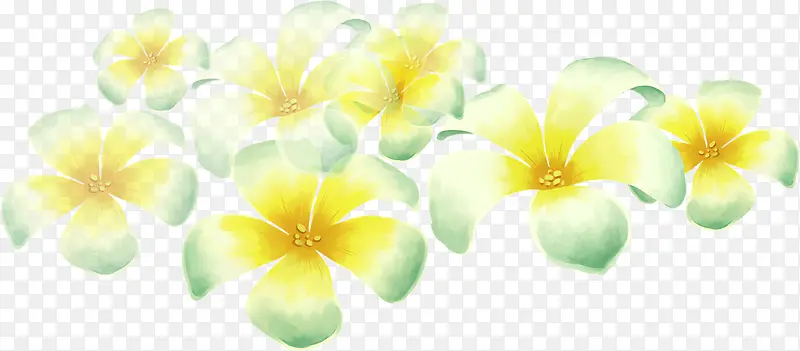 黄色新鲜花朵植物