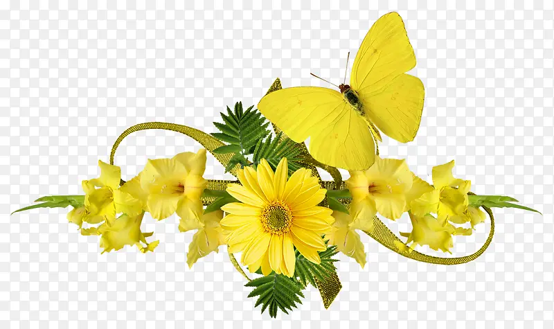 黄色花朵黄色蝴蝶