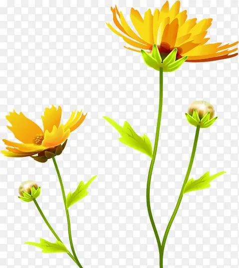黄色清新手绘促销花朵