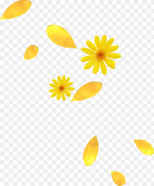 黄色花朵和花瓣