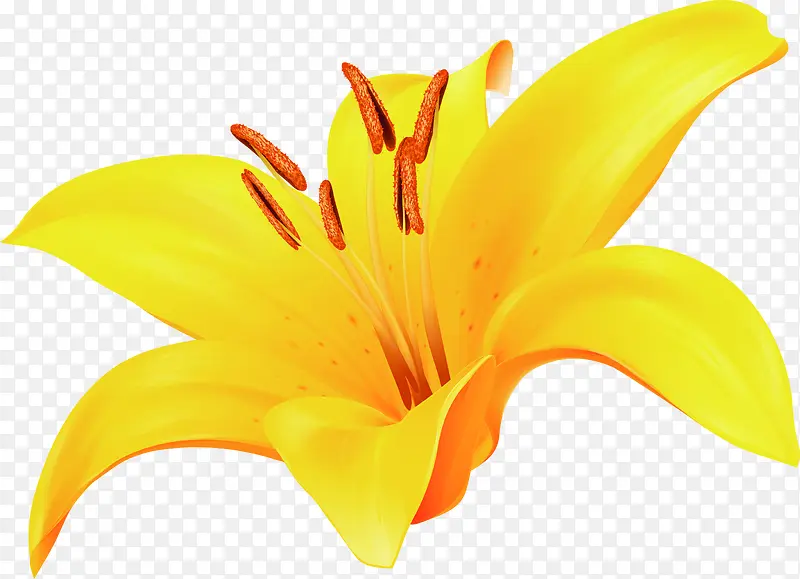 黄色卡通盛开花朵春姿