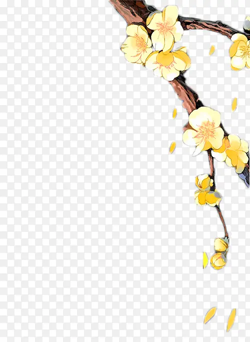 黄色花朵花枝手绘