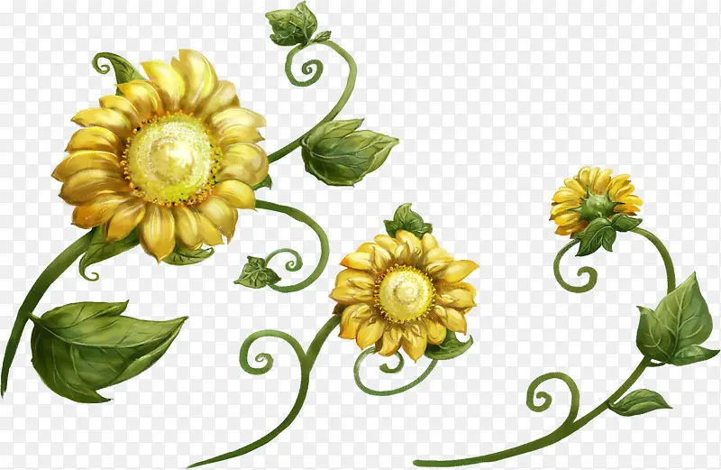 手绘黄色向日葵花朵水彩
