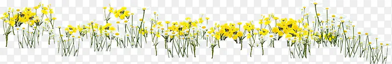 黄色卡通手绘花朵美景
