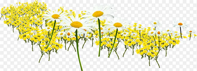 黄色春天美景花朵手绘