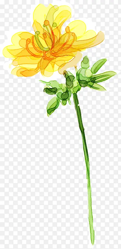 手绘黄色水彩花朵植物梦幻