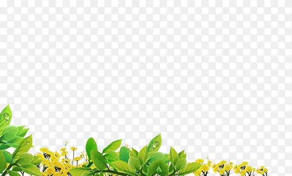 黄色花朵绿叶装饰图片