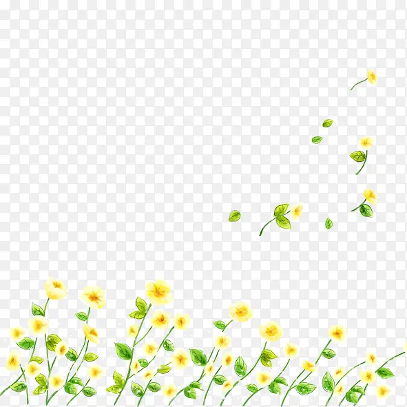 黄色雏菊
