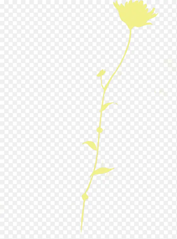 黄色朦胧创意花朵