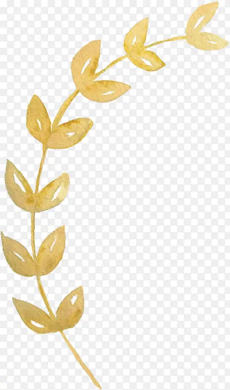 黄色花朵创意植物手绘