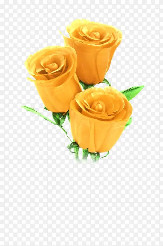 黄色玫瑰花朵