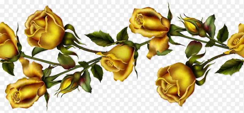黄色玫瑰花朵装饰
