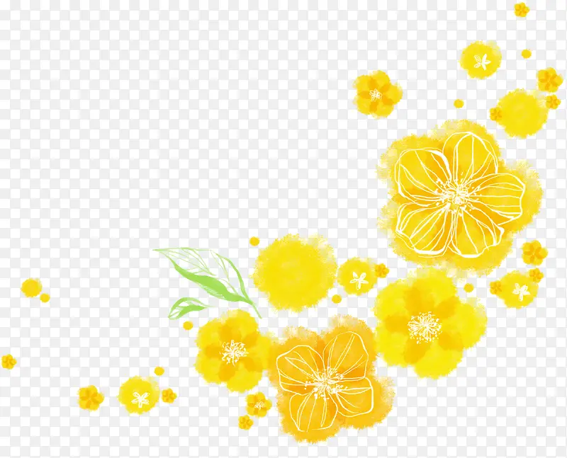 手绘黄色花朵展架