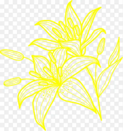 手绘黄色线条花朵