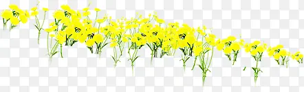 黄色花朵草地设计