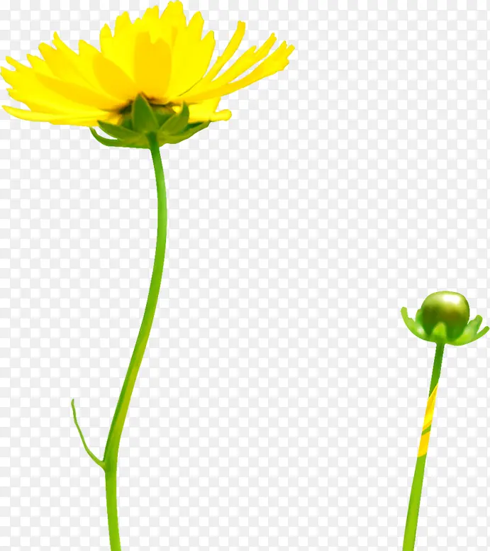 创意手绘扁平黄色的小花朵