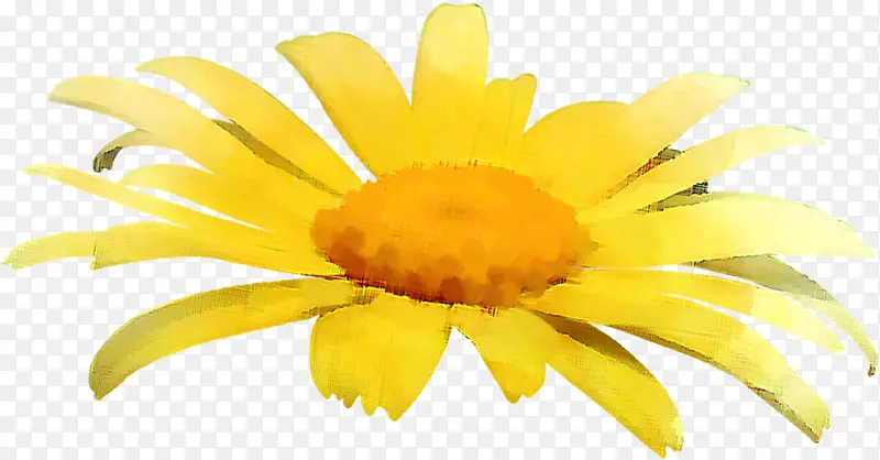 手绘花朵黄色可爱