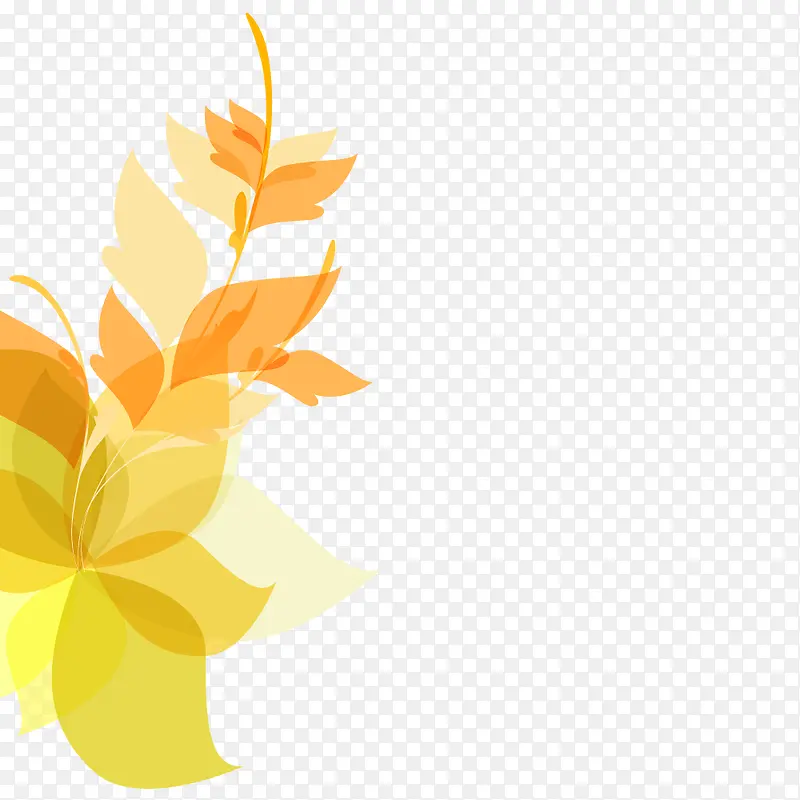 秋季金黄色花