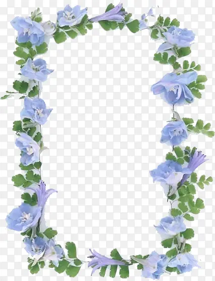 紫色花朵边框