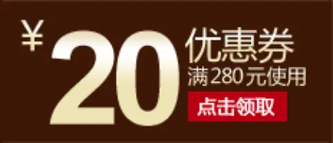 20元优惠券