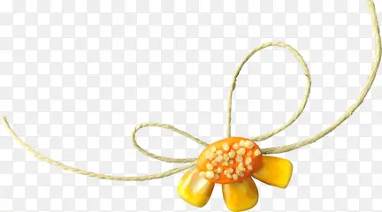 绳索玉米糖装饰