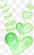 卡通绿色爱心植物手绘