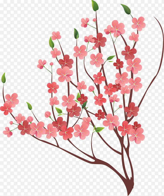 春暖花开粉色花朵