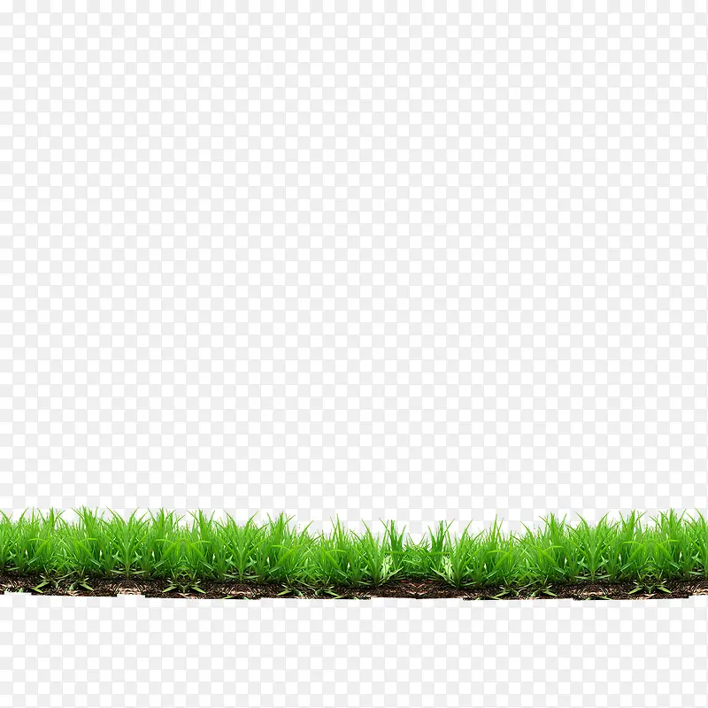 草