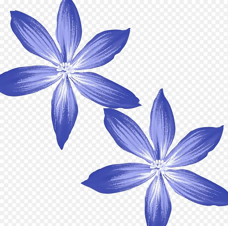 蓝色浪漫花朵