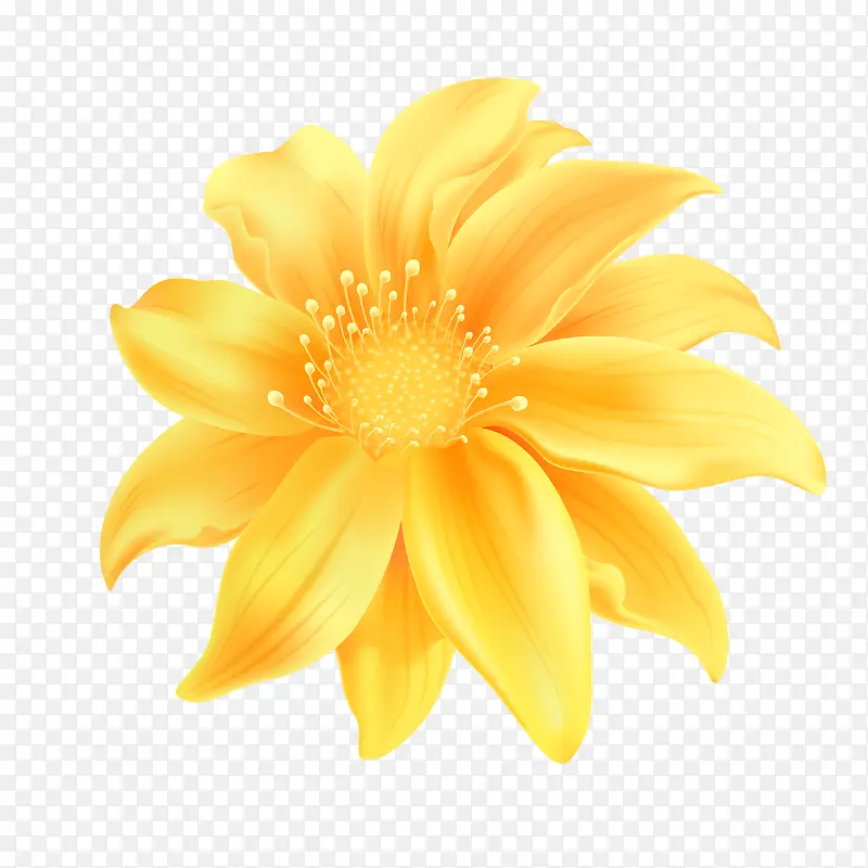 黄色的花瓣装饰图案