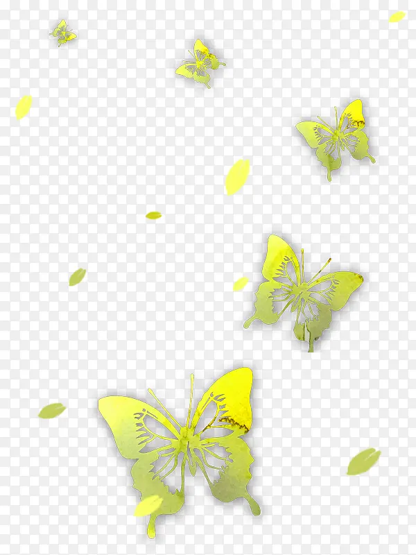 蝶花飞舞