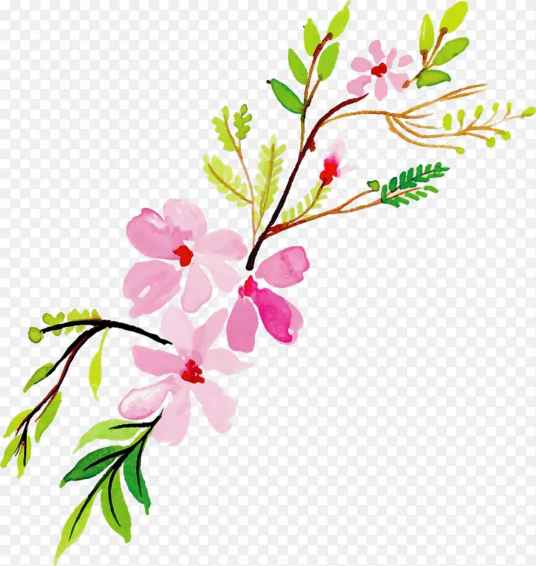 粉红色春天水彩花朵