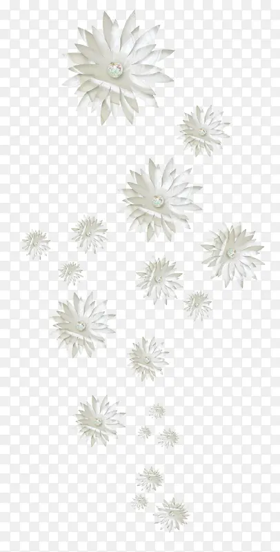 白花瓣   背景装饰  图案