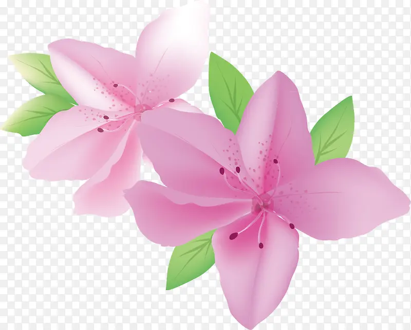 装饰花纹