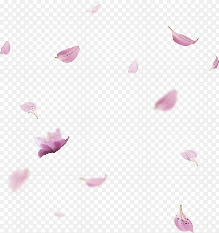 淡紫色清新花朵花瓣漂浮素材
