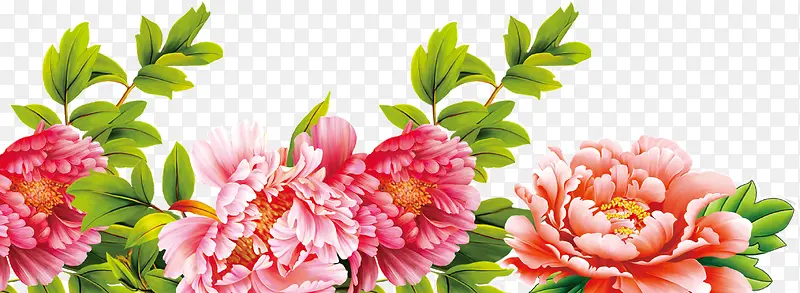 粉色花卉绿叶