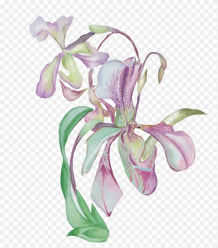 卡通手绘水彩花卉