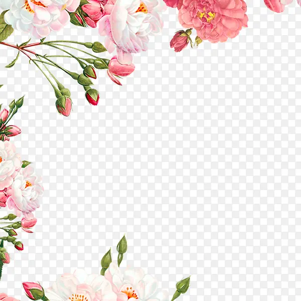 粉红色的花朵
