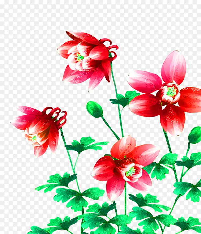 红色小花