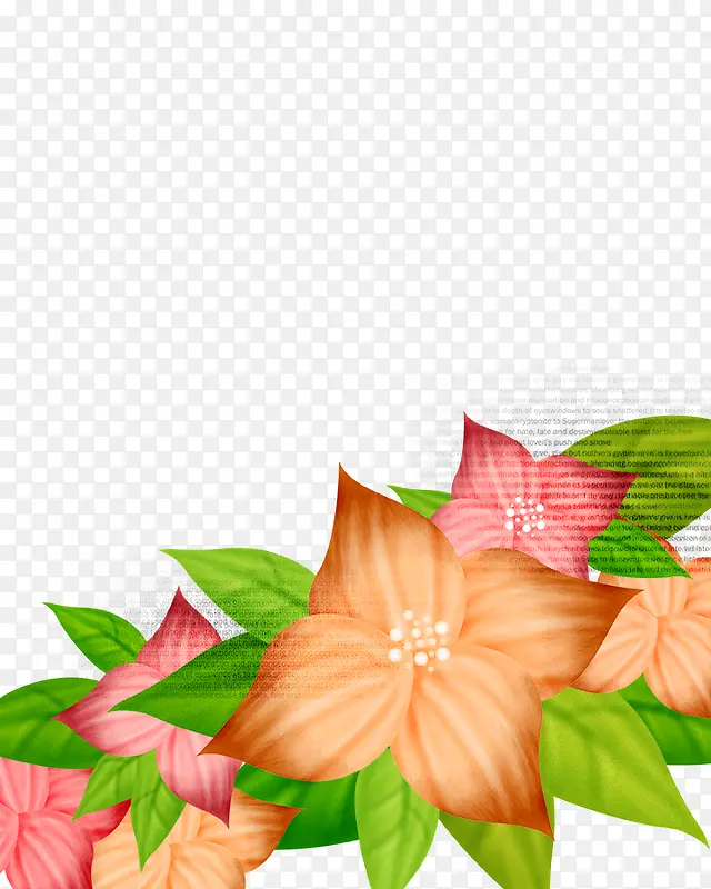 花朵边框