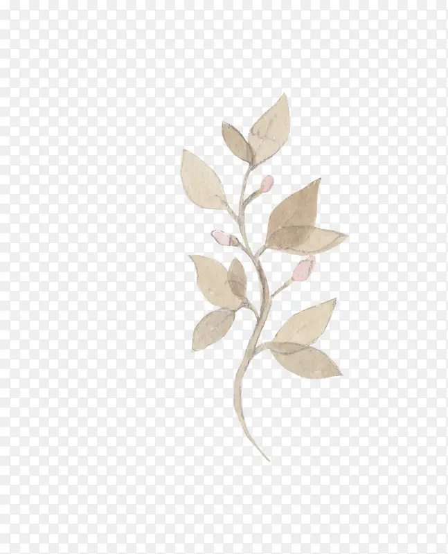 手绘植物PNG图片素材下载_图片编号yxovjvpd-免抠素材网